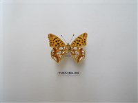 藏品(珠蛺蝶)的圖片